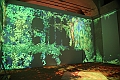 Claude Monet the immersive experience_107